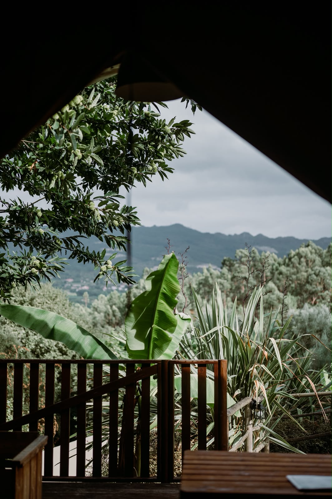 Lodge Castanho