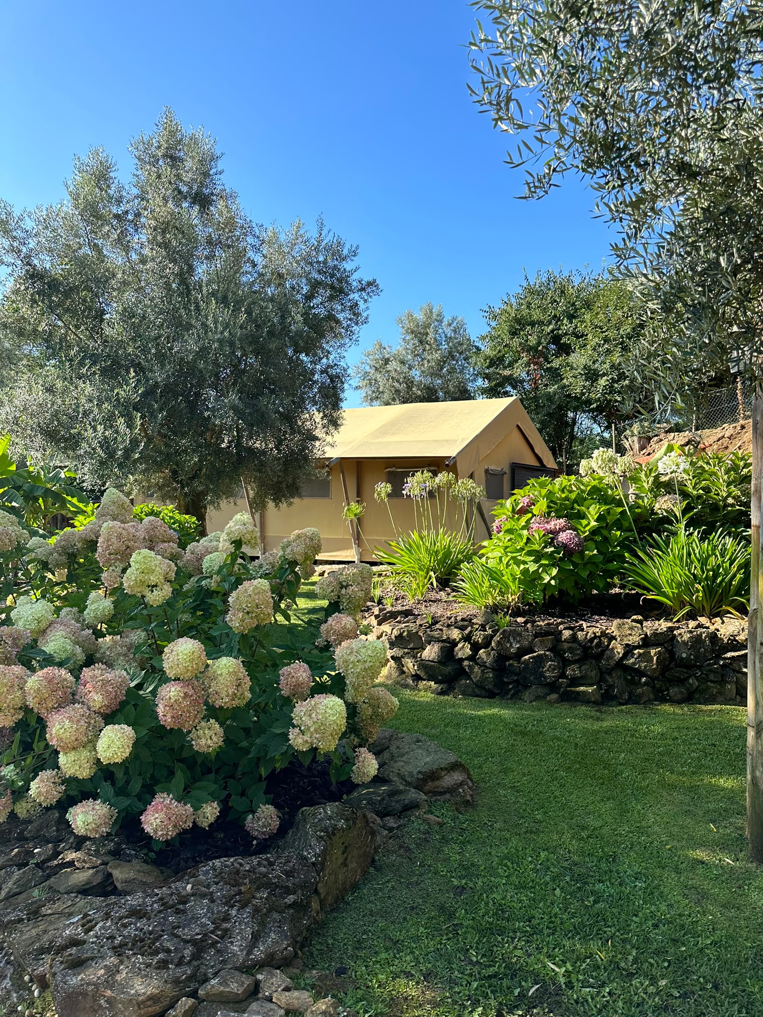 Lodge Da Vista