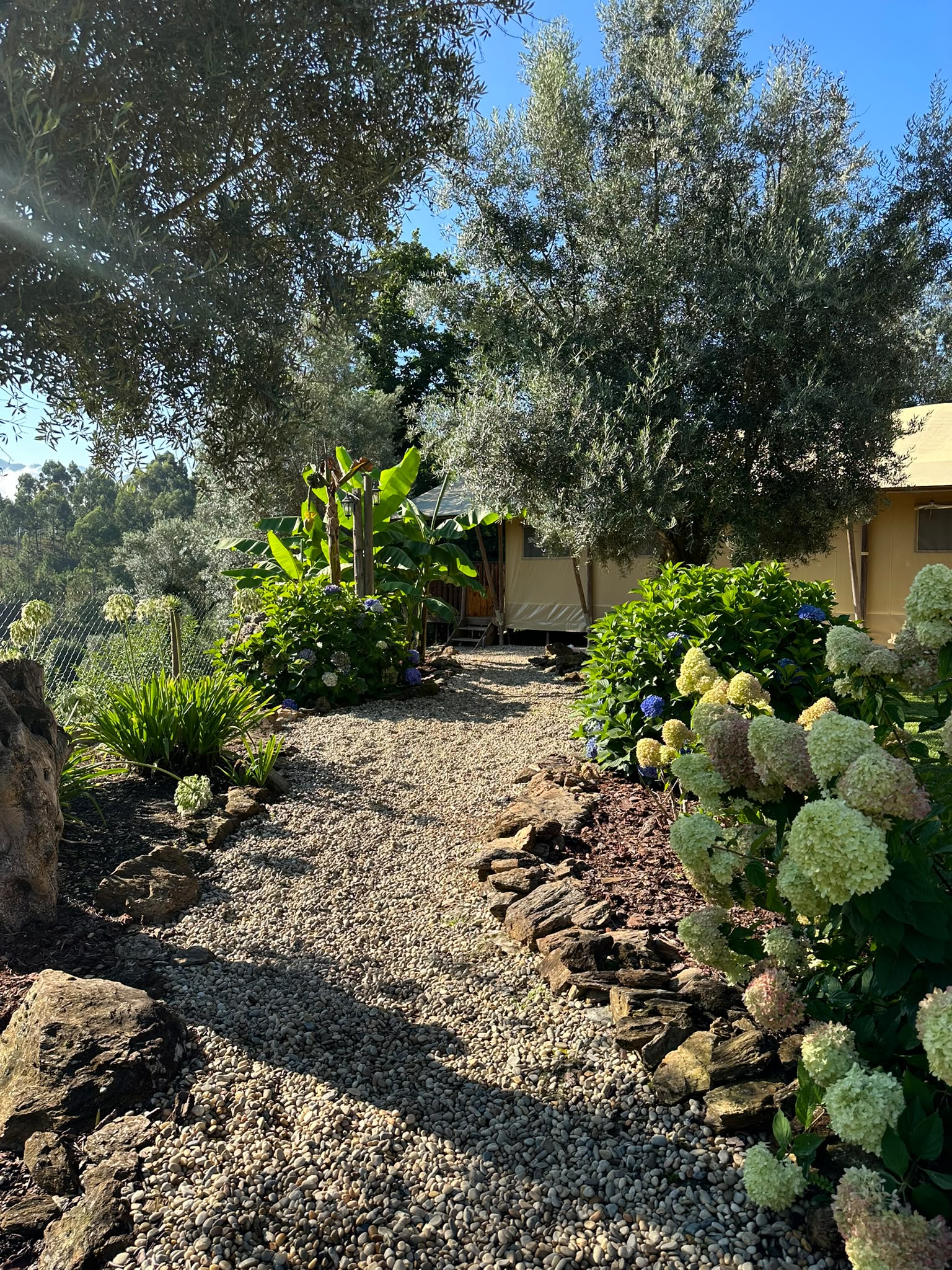 Lodge Da Vista