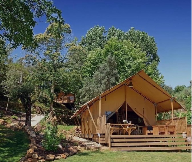 Lodge Palmeira