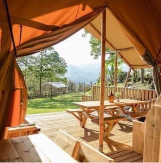 Lodge Palmeira