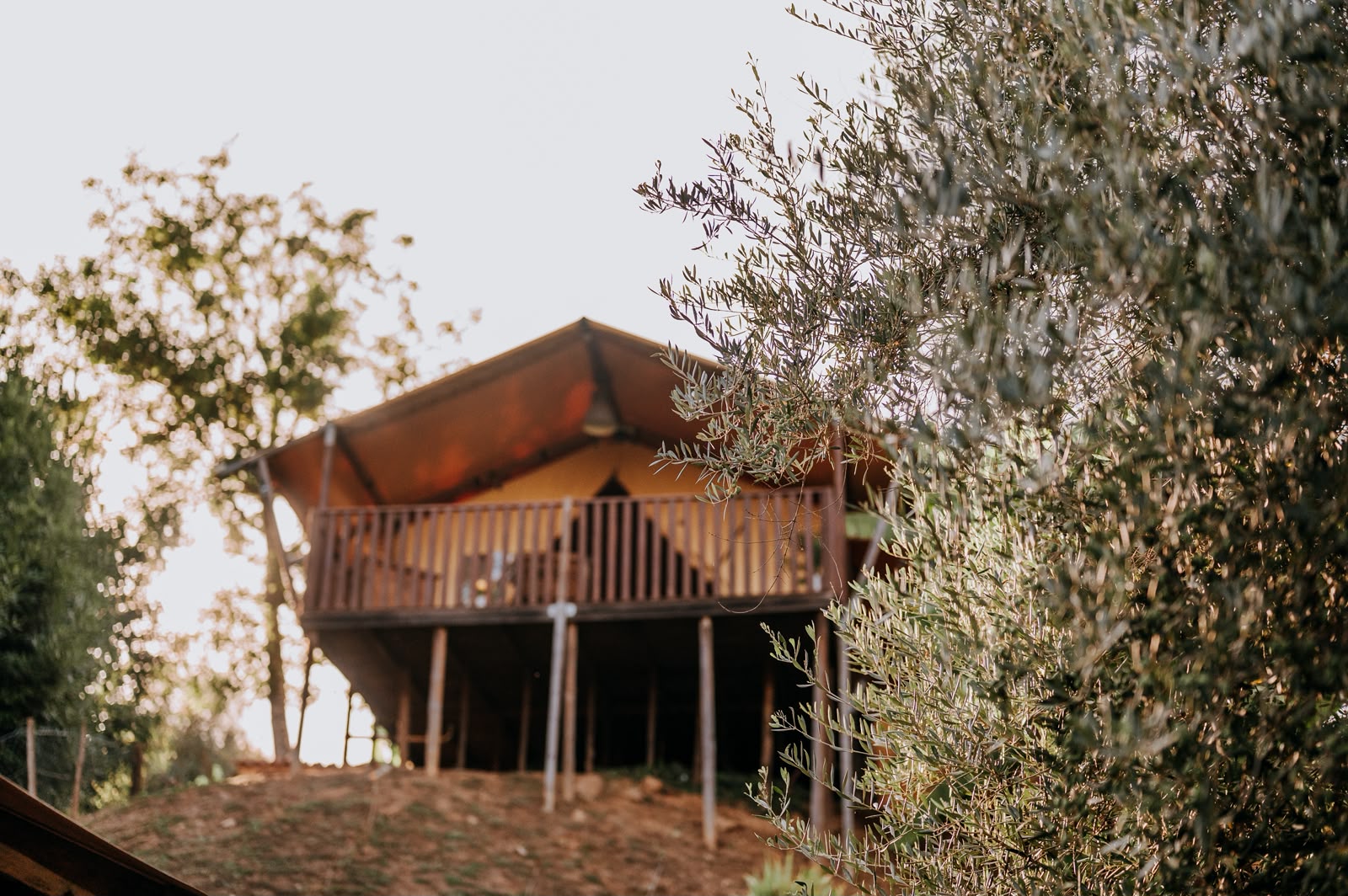 Lodge Oliveira